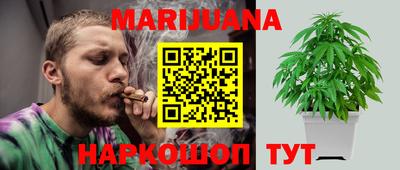 прущие грибы Славгород