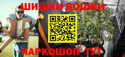 спиды Сланцы