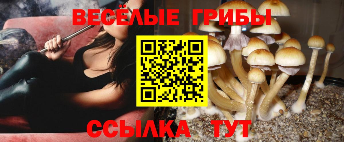 Псилоцибиновые грибы мухоморы Новороссийск